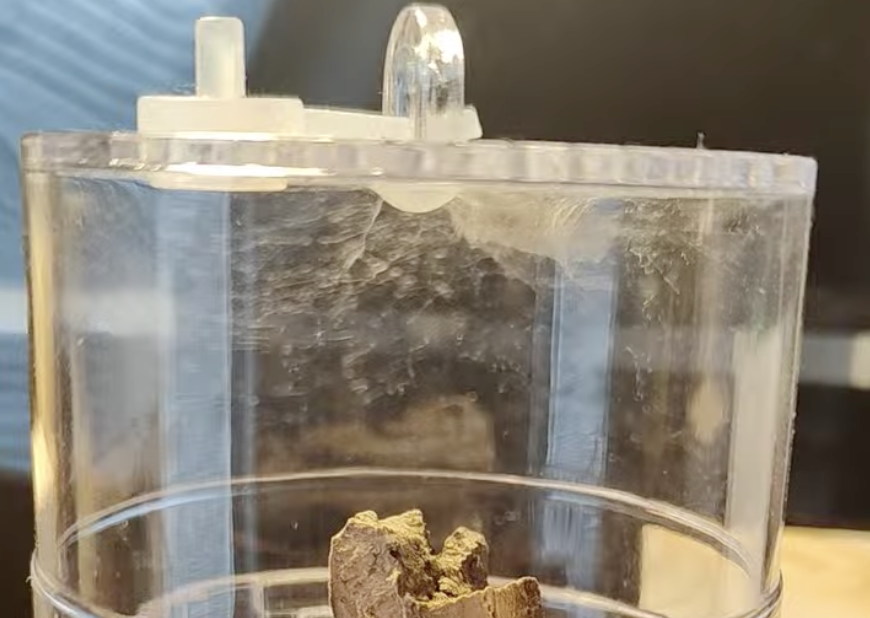 Baby barely visible in a thicker cocoon