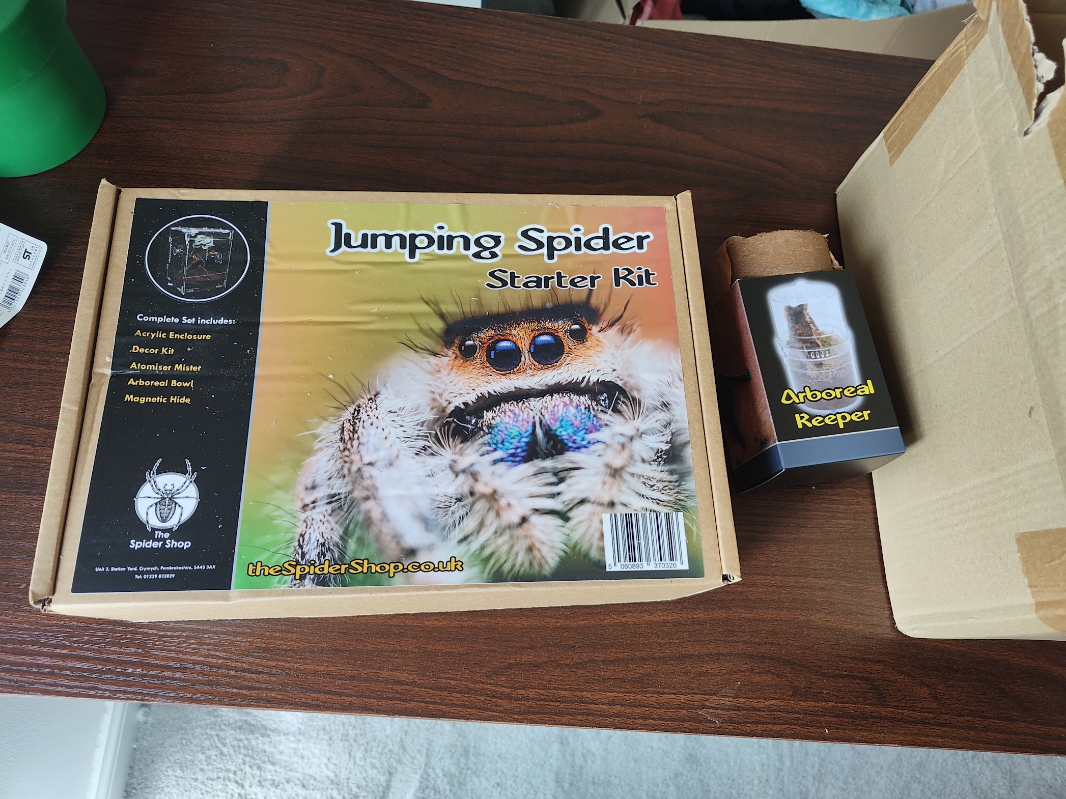 Jumping spider starter kit and a small arboreal keeper enclosure