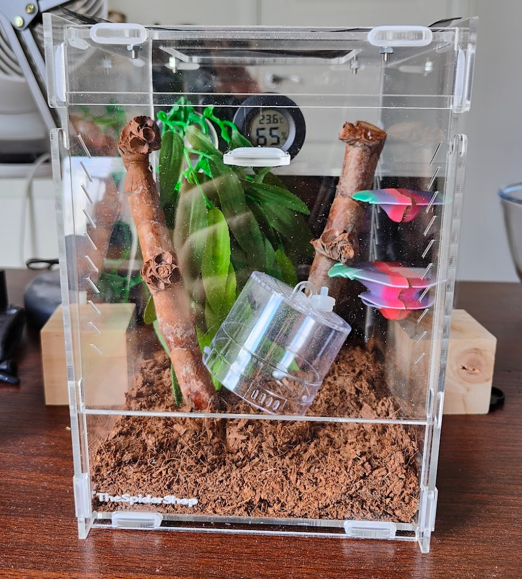 The top half of the small enclosure inside the larger enclosure