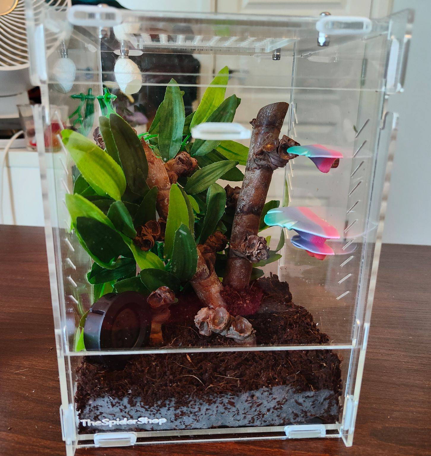 New enclosure decorations