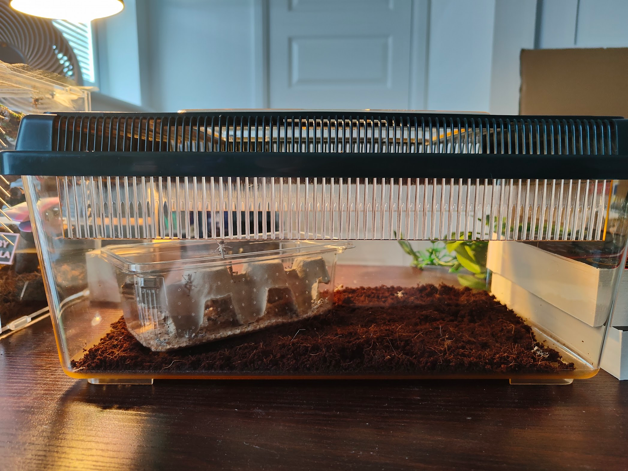 The shipping container inside a larger enclosure
